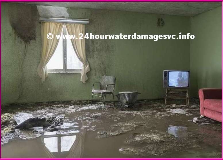 Create a Comprehensive Inventory of All Packed Contents for Efficient Water Damage Restoration - Water Damage Restoration Services