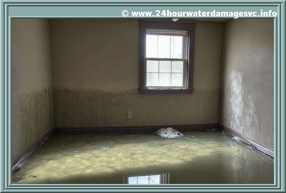 Accelerate Sub-Floor Drying with Air Movers: The Key to Efficient Water Damage Cleanup - Water Damage Restoration Services